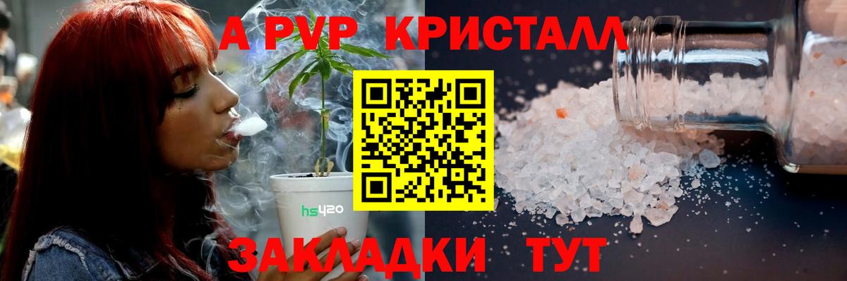 Alfa_PVP СК Саранск