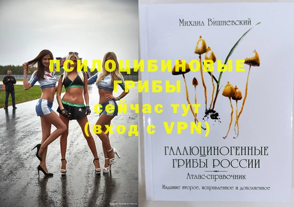 мдпв Мегион