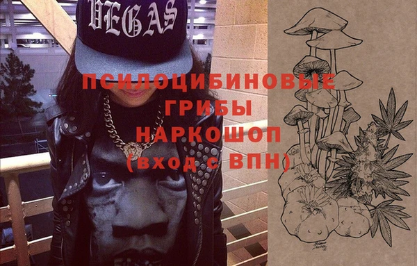 мдпв Мегион