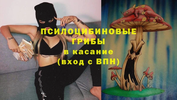 гидропоника Медногорск
