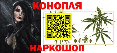 a pvp Дубна