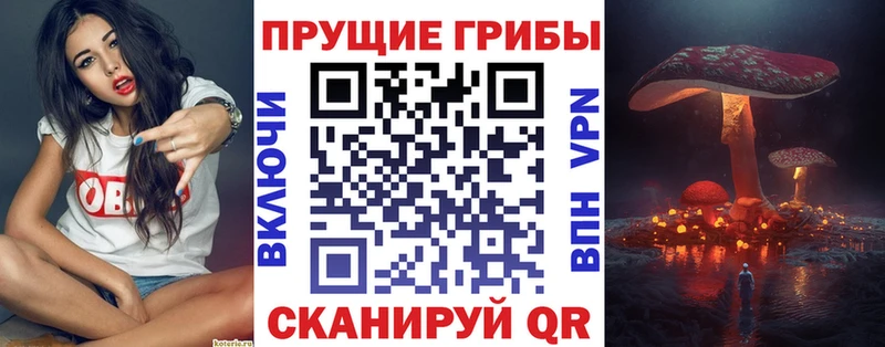 мориарти какой сайт  где найти   Саранск  Галлюциногенные грибы прущие грибы 