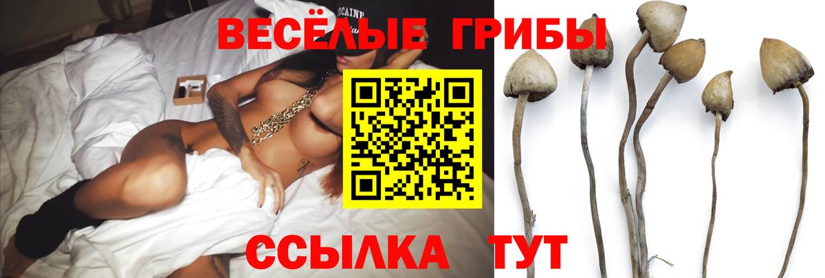 Псилоцибиновые грибы мицелий  Псилоцибиновые грибы Psilocybine cubensis  где найти   Вход с VPN  Саранск 